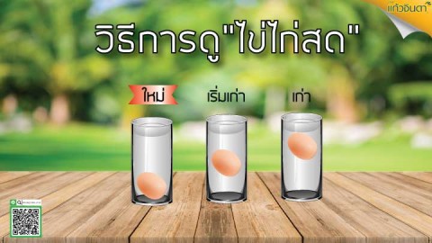 วิธีการดูไข่ไก่สด