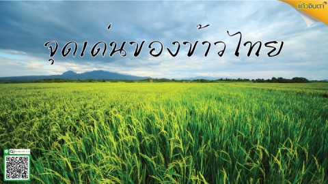 จุดเด่นของข้าวไทย