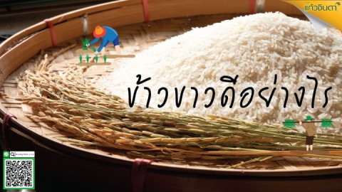 ข้าวขาวดีอย่างไร