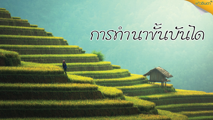 การทำนาขั้นบันได